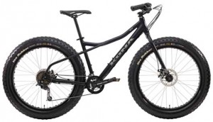 Kona Wo 2014 models have been recalled because of a fall hazard.