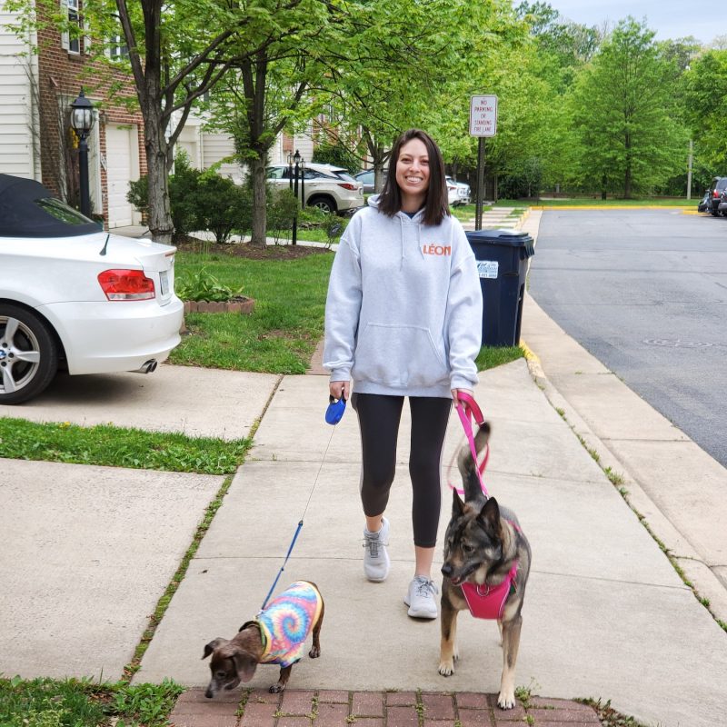 Rachel walking her dogs