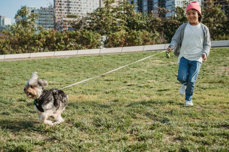 kid walking dog