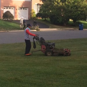 Has a non-English-speaking lawn maintenance worker willfully violated a safety rule if he could not read the instructions on a commercial mower?