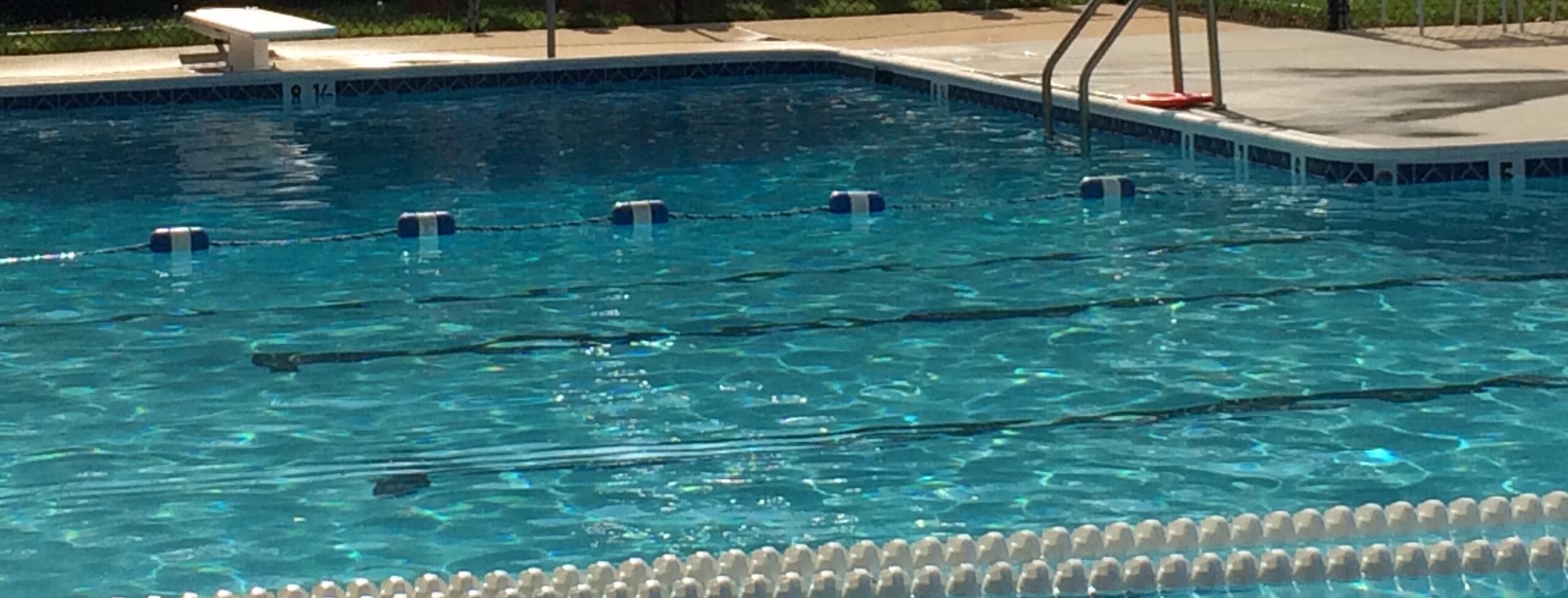 Pool drowning cases that are the result of design defects &/or staff inattention are always tragic